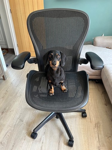 Herman miller aeron size - miller,
